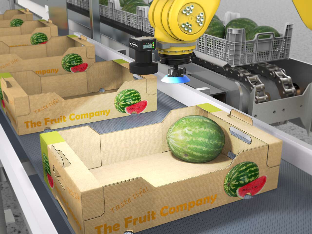 VE Series smart cameras integrated into a robotic pick and place application image