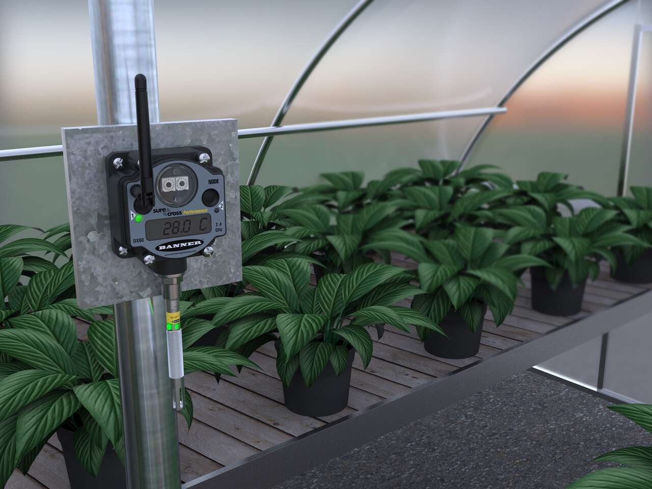 Temperature monitoring in a greenhouse application image
