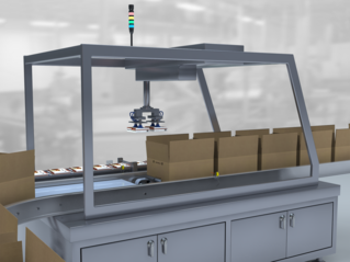 Case Packer Solutions for Food Packaging