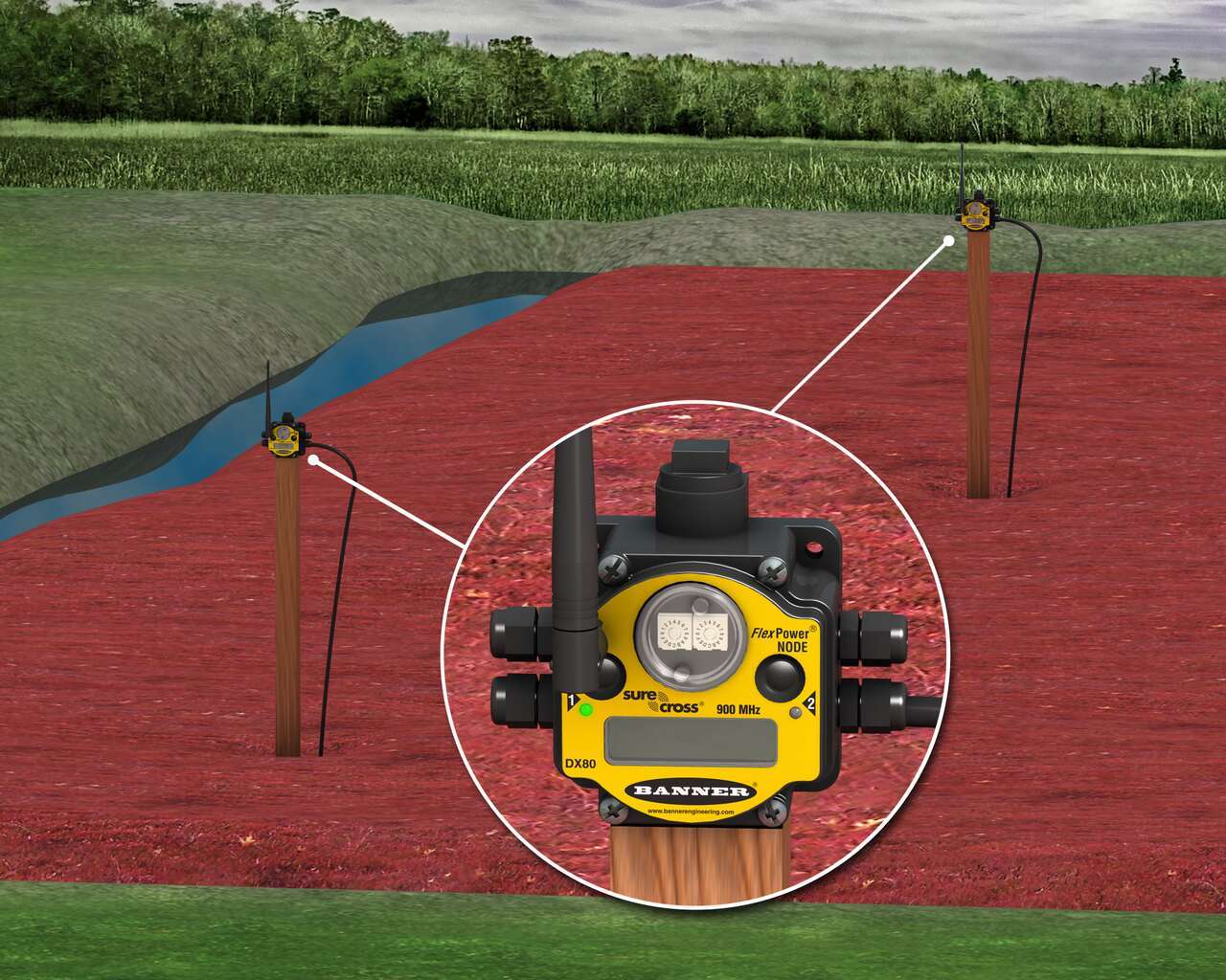 Frost Protection and Soil Moisture Control in Cranberry Bogs