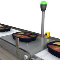 Dark Tray Detection on Checkweigh System
