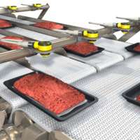 Sensing in Food Packaging and Conveying